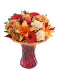 Autumn Shades Perfect Gift