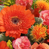 Autumn Shades Perfect Gift