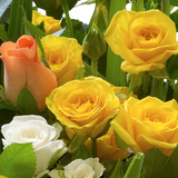 Fairtrade Golden Autumn Hand tied