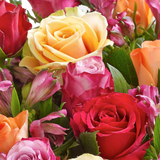 Fairtrade Golden Autumn Hand tied