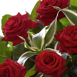 Heavenly Red Rose Hand tied