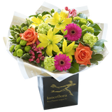 New Baby Vibrant Hand tied or Vase