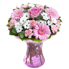Pink Perfect Gift