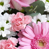Pink Perfect Gift