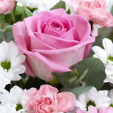 Pink Perfect Gift