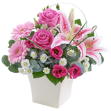 Pink Perfect Gift