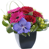 Rose, Gerbera and Vanda Orchid Arrangement