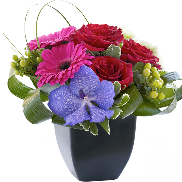 Rose, Gerbera and Vanda Orchid Arrangement