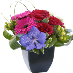Rose, Gerbera and Vanda Orchid Arrangement