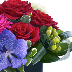 Rose, Gerbera and Vanda Orchid Arrangement