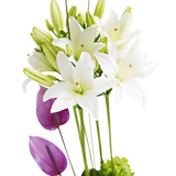 Rose, Gerbera and Vanda Orchid Arrangement