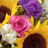 Sunflower Hand tied