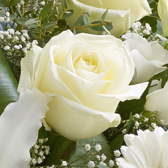 White Radiance Hand tied