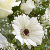 White Radiance Hand tied